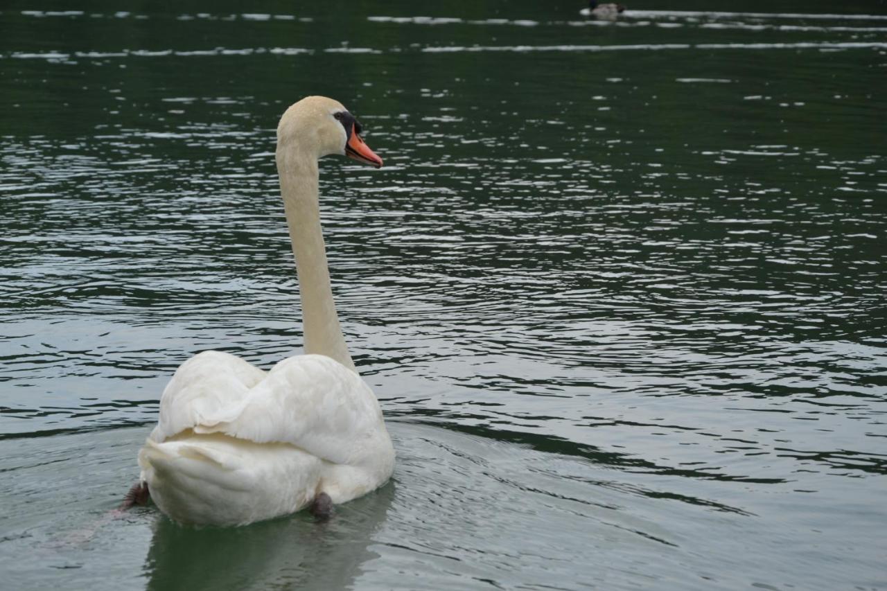 Gostisce Jezero Bed & Breakfast Медводе Екстериор снимка